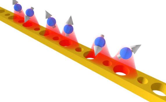 Topological photonics quantum simulator