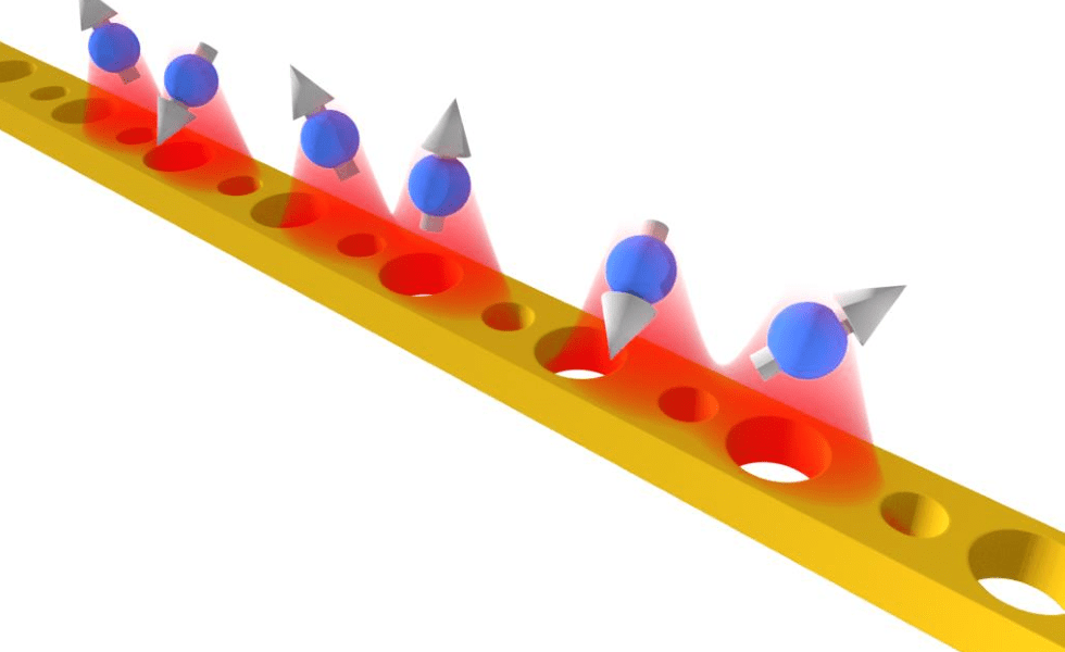 Topological photonics quantum simulator